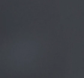 Speedo Dynamic Wave Placement Curve Aquashort - Image 4